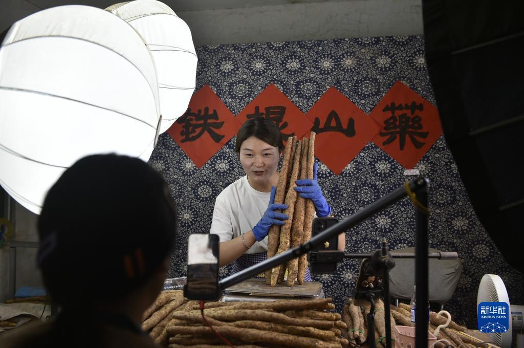 旧版仙豆棋牌